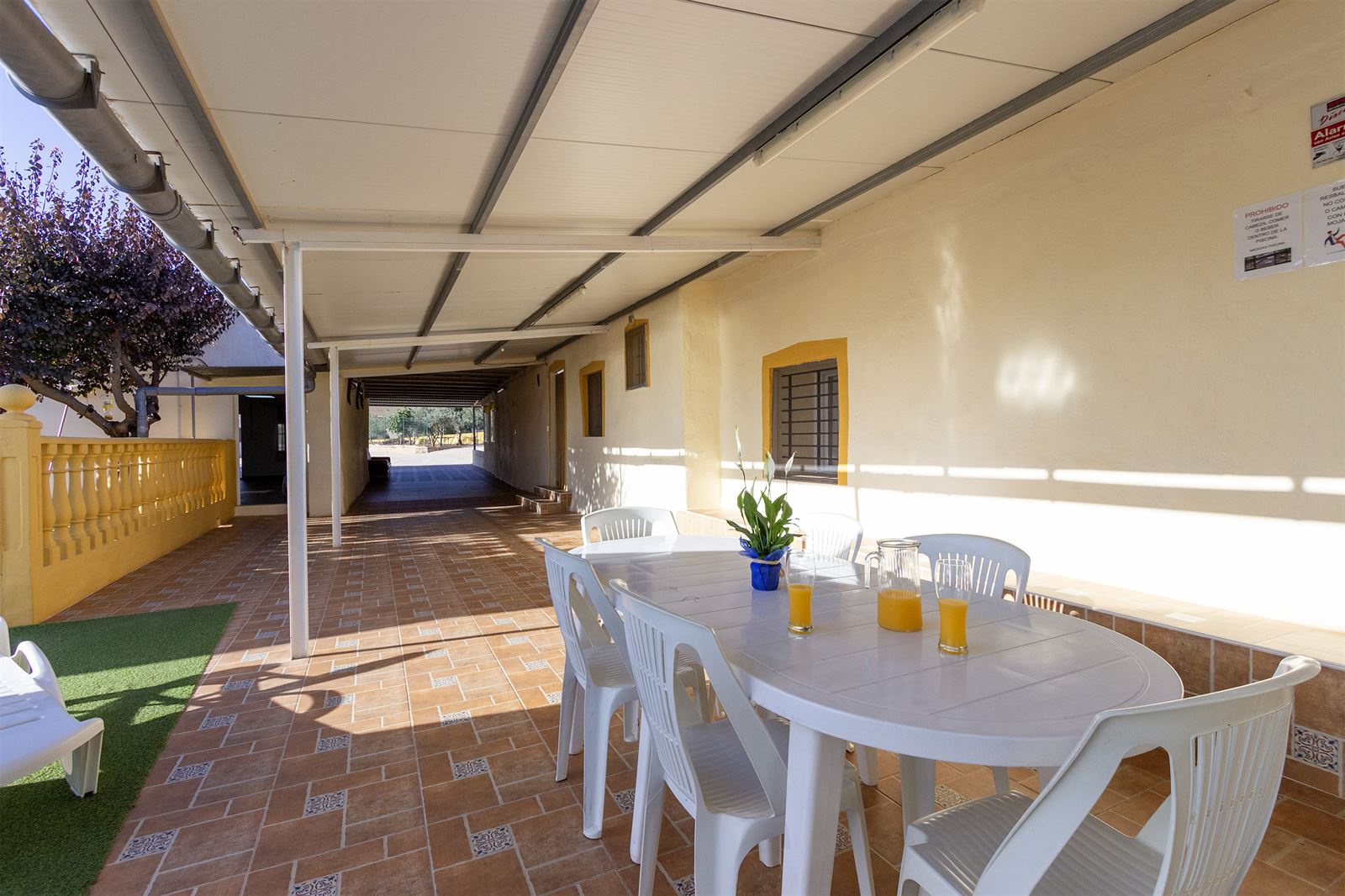 Casa Rural "El Olivo Centenario": imagen 32