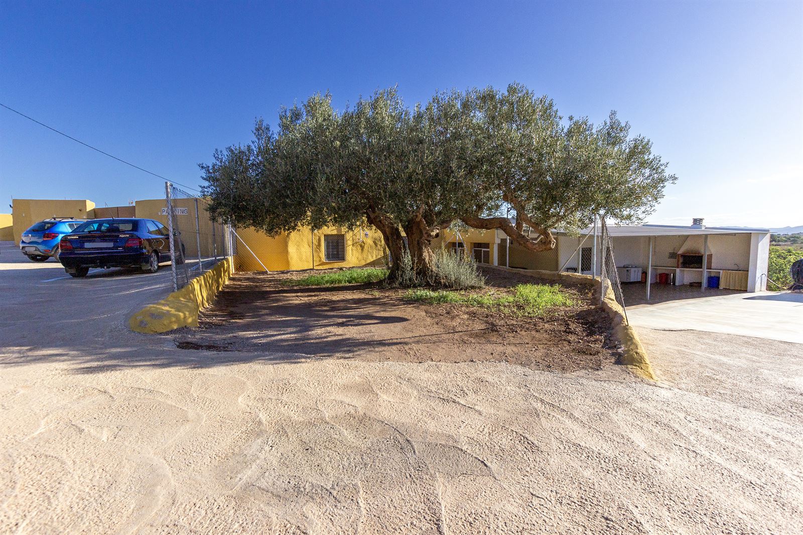 Casa Rural "El Olivo Centenario": imagen 40